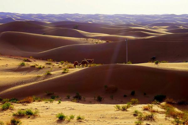 寧夏旅行|最火景點彙總 寧夏旅行|最火景點彙總
