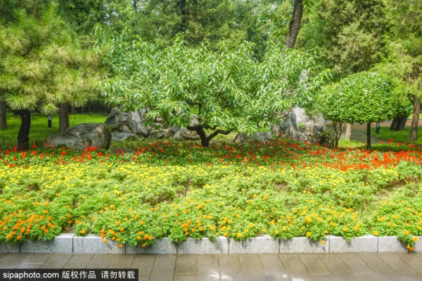 驚豔!這個“太陽神”公園竟藏著江南庭院,古色古香還免費! 驚豔!這個“太陽神”公園竟藏著江南庭院,古色古香還免費!