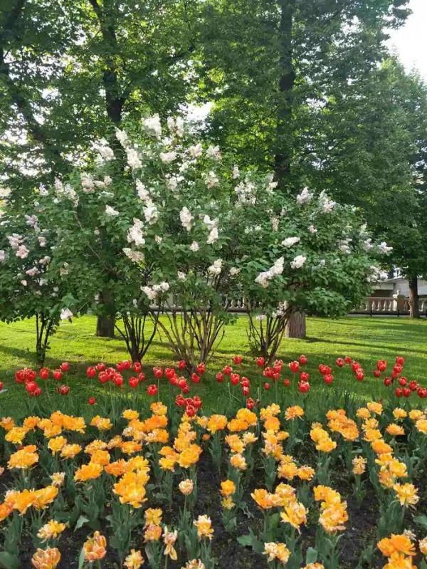 遊記︱俄羅斯印象之五