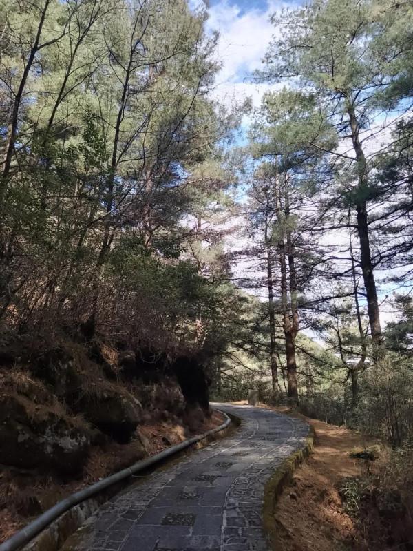 旅行素描：靠蒼山擁洱海的大理（3）