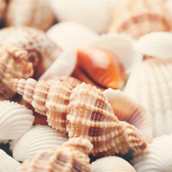 鈣劑那麼多,我要怎麼選? 鈣劑那麼多,我要怎麼選?