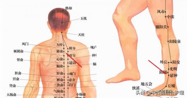 「穴位養生」十大補氣穴位和十大補血穴位