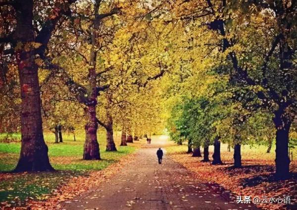 蘇軾的一首七言詩,暢談讀書和做人,一輩子至少要讀一遍 蘇軾的一首七言詩,暢談讀書和做人,一輩子至少要讀一遍