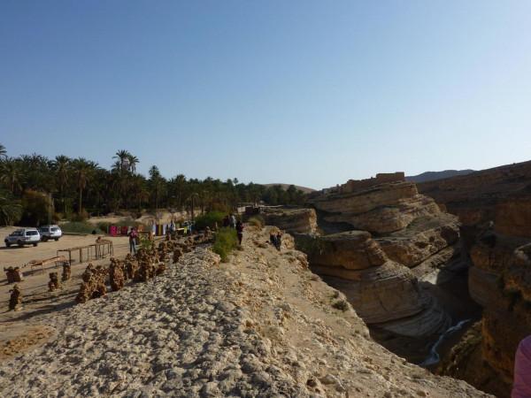 「突尼西亞2014」託澤尓（一）&mdash;&mdash;沙漠中的綠寶石