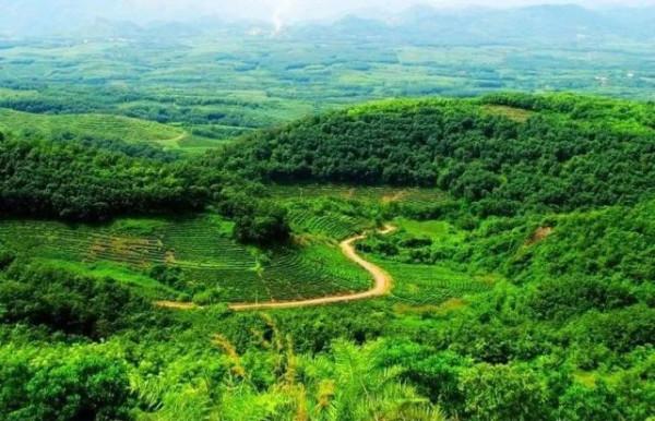 海南茶文化旅遊篇丨從早到晚的佳茗與從北到南的美景 海南茶文化旅遊篇丨從早到晚的佳茗與從北到南的美景