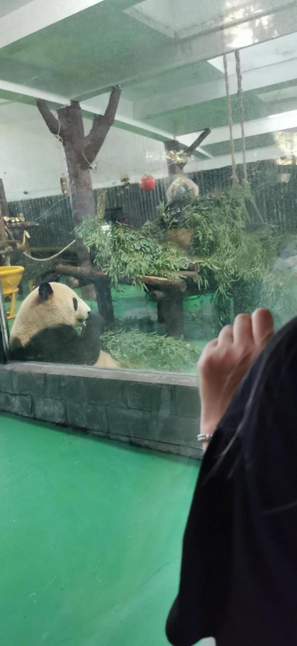 為什麼那麼多人喜歡炒股？