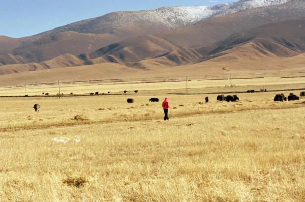 趙有強:西藏,西藏,20年念念不忘 趙有強:西藏,西藏,20年念念不忘