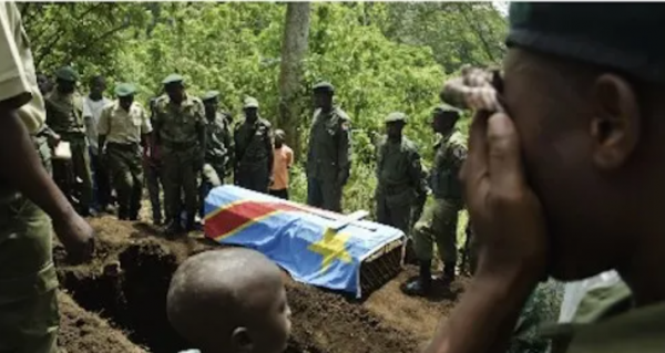 全世界最會凹造型的大猩猩，被“奶爸”呵護14年後，還是去世了