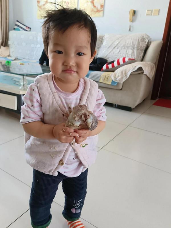 今天吃什麼飯？