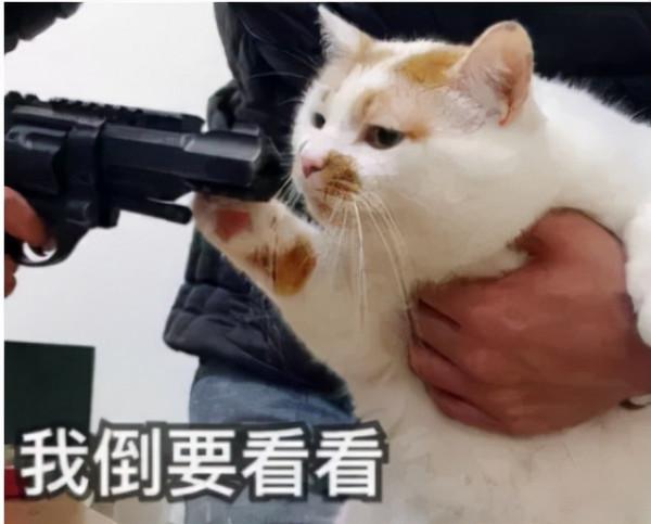 北大教授：這場“教育騙局”毀掉了不少孩子，但仍有人還在相信