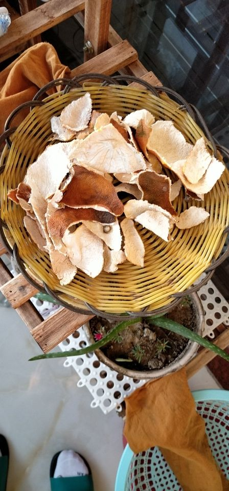 吃剩的橘子皮別丟，拿來養花效果好，便宜還好用