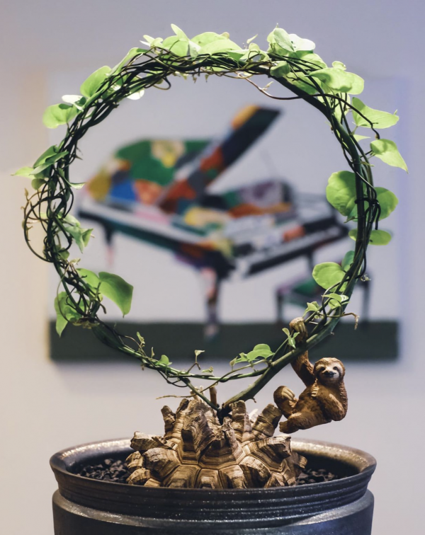 塊根｜在水泥世界中綻放的生命花火