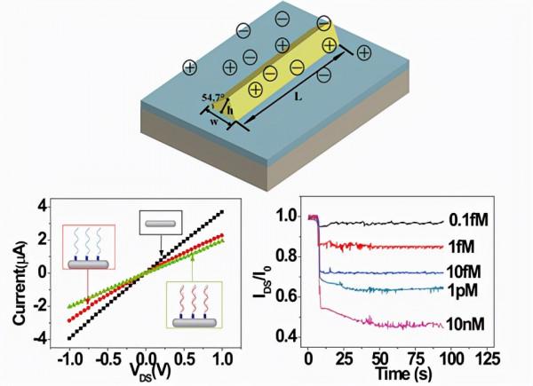 什麼是奈米發電機？奈米科技其它領域的應用有哪些？