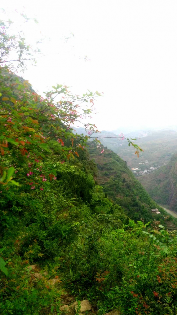 一日跨三省,步行在春天 一日跨三省,步行在春天