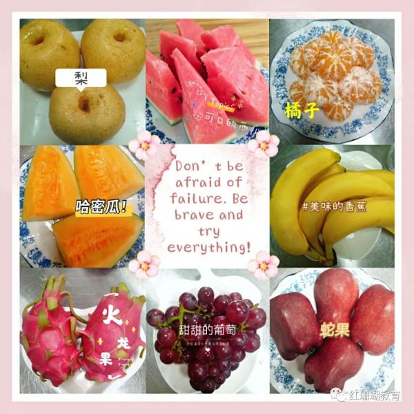 科學膳食，快樂成長——紅珊瑚國藝幼兒園之膳食篇