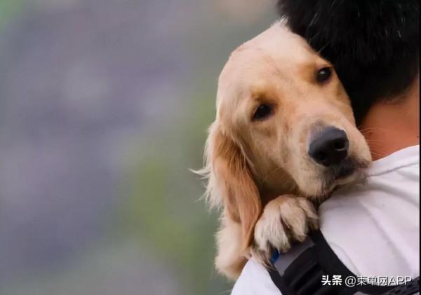 我竟在柬埔寨有了“孩子”... 我竟在柬埔寨有了“孩子”...