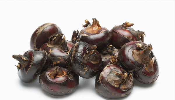 秋天選擇吃荸薺