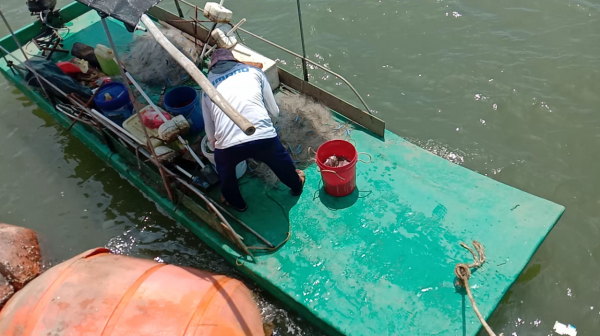 中國漁民有多牛？啤酒瓶防身，1年撈出7個海外監測裝置