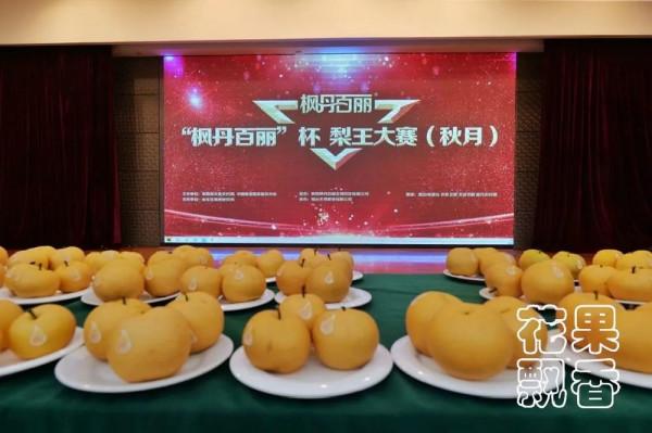 平均糖度11.8%,高價位下的秋月梨隱患 平均糖度11.8%,高價位下的秋月梨隱患