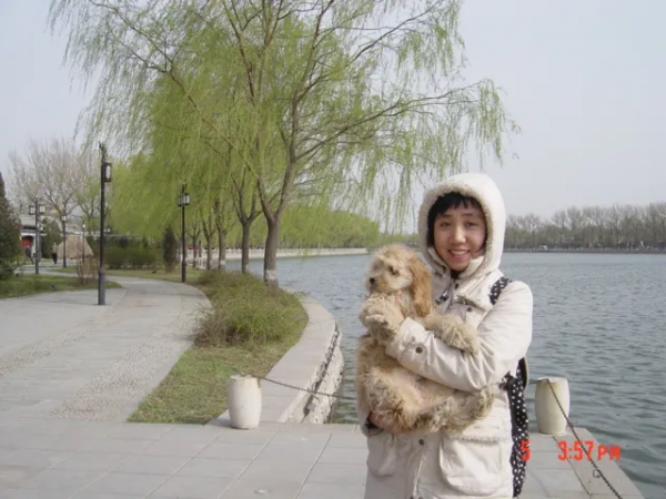 給7529個寵物做墓碑的女孩：有人拿來一片魚鱗，讓我給錦鯉做墓碑