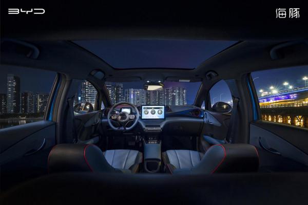 與海豚一起邂逅光影繁華