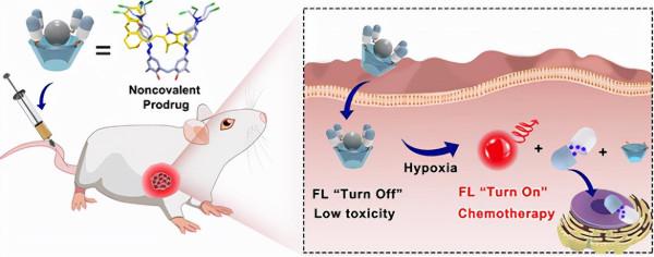 中科院最新科研進展、科技動態 2021.11.23 星期二