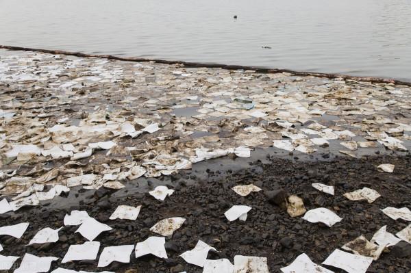 吸菸對環境造成的汙染有多大？