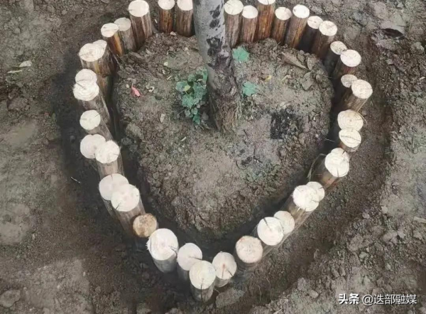 精細化改造,提升茨日那顏值! 精細化改造,提升茨日那顏值!