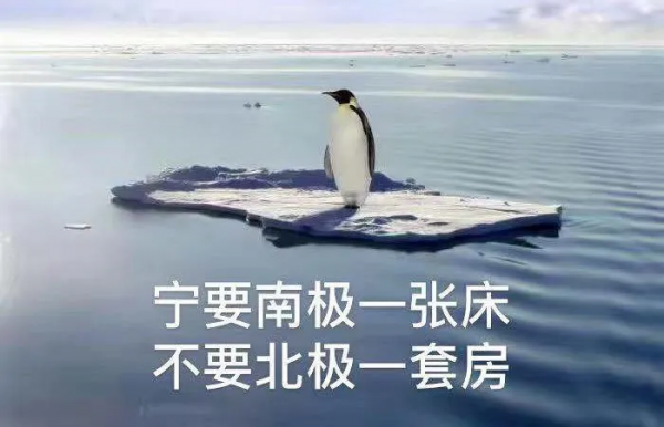 南極的企鵝都是假的!真的已經在北極滅絕了...... 南極的企鵝都是假的!真的已經在北極滅絕了......