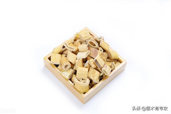 每天認識一味中藥－－蘆根