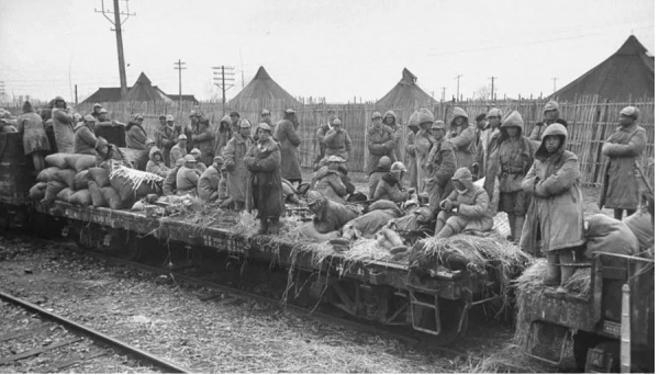 郭汝瑰講解作戰計劃，杜聿明怒罵：你想把我們送給共軍嗎