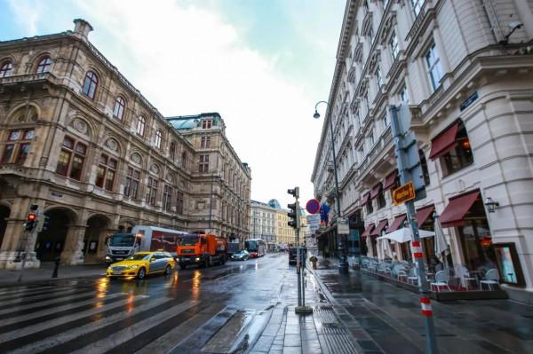 維也納長得啥樣? 維也納長得啥樣?