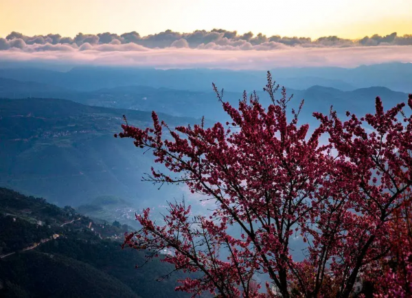 最適合自駕的季節,12條自駕路線,人少景美,總有一條適合你 最適合自駕的季節,12條自駕路線,人少景美,總有一條適合你