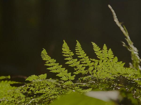 看似簡單,卻不缺乏信念,這幾個星座有稜有角,堅韌藏在骨子裡 看似簡單,卻不缺乏信念,這幾個星座有稜有角,堅韌藏在骨子裡