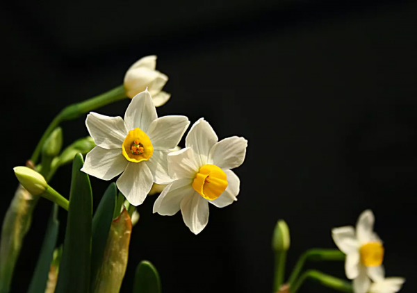 中國古今十之最,長見識了! 中國古今十之最,長見識了!