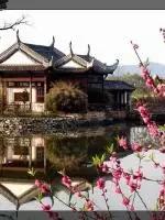 106張照片，美到眼睛移不開