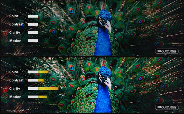 索尼電視怎麼選?從原理到推薦,2021年索尼電視選購指南 索尼電視怎麼選?從原理到推薦,2021年索尼電視選購指南