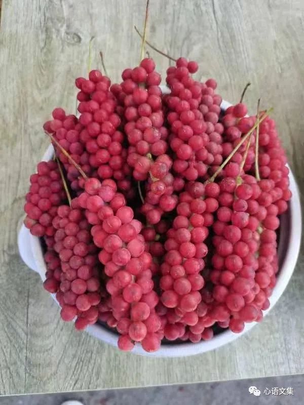 中秋佳節故事多 中秋佳節故事多