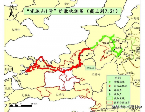 6個月前，誤入村莊的完達山一號找老婆了嗎？雄虎找老婆有多難？