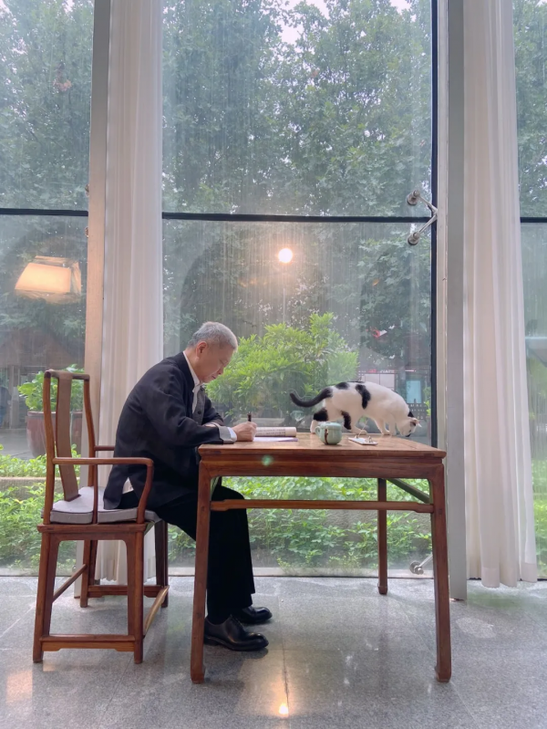 大貓星王情聖的工作日常