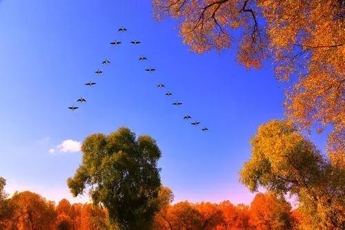 水調歌頭.中秋(仿蘇軾新體.原創)