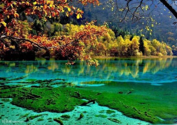 西江月•九寨溝