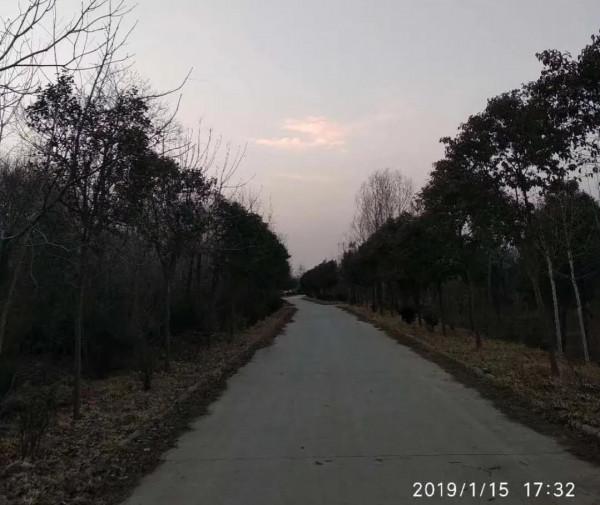 詩一樣的順口溜——秋葉