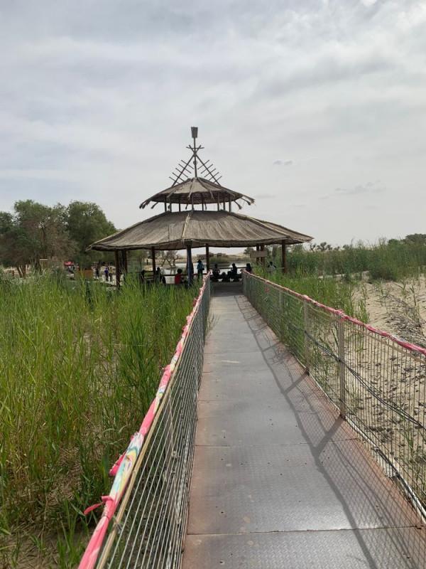 大美新疆（十）羅布人村