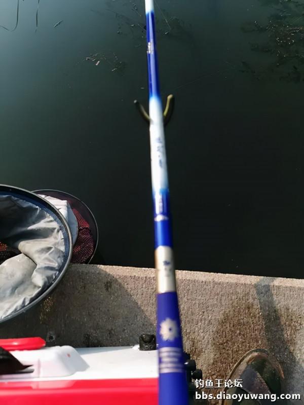 小河魁拔情開光，爽拉小鯽單杆過百