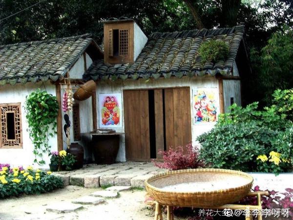 農村沒人住的小平房，8萬塊錢就能買下來，拿來養花正好