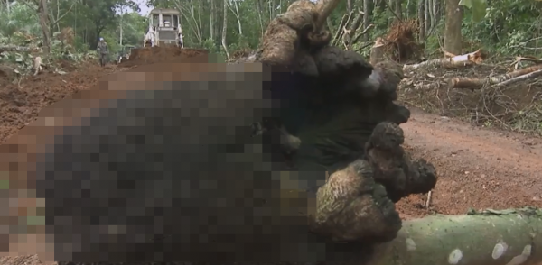 非洲人質疑中國基建的速度，中國人用一天，幹完他們兩個月的工作