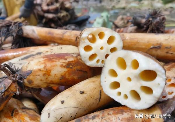 買蓮藕,學會區分“粉藕”和“脆藕”,差別很大,弄明白了不買錯 買蓮藕,學會區分“粉藕”和“脆藕”,差別很大,弄明白了不買錯