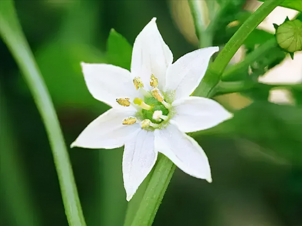 人可以心胸開闊，但不能沒有是非