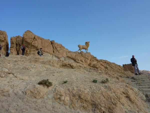 「突尼西亞2014」託澤尓（一）&mdash;&mdash;沙漠中的綠寶石